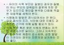영유아의 건강생활 습관지도 (아동건강교육, 배변훈련, 손씻기, 치아관리, 휴식과낮잠, 식생활, 편식, 식생활 행동지도).pptx 70페이지