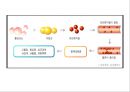 (스포츠의학, 운동처방관련학과)  활성산소와 운동, 노화의 주범, 활성산소 대처방법, 항산화제, 활성산소와 운동.pptx 12페이지