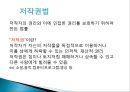 인터넷사회와 법 -인터넷 법의 종류, 인터넷 법이 현실을 따라가지 못하는 경우와 그 사례 4페이지