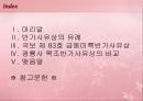 [유물조사] 금동미륵반가사유상 - 일본 목조 반가사유상 비교.pptx 2페이지