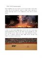 스페인 _스페인 문화,  스페인 역사, 스페인의 축제에 관해 8페이지