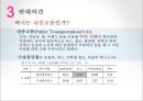 [택시법 반대의견] 택시법의 개념, 택시법의 문제점, 택시법 개선방안ppt자료 10페이지