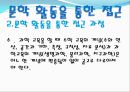 (아동수과학) 문학을 통한 수학교육 이론정리 (문학 활동을 통한 접근의 교육적 의의, 문학 활동을 통한 접근 과정).pptx 5페이지