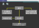 [IMF]IMF 현황,IMF 기금형성,IMF 주요사업 8페이지