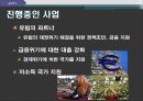 [IMF]IMF 현황,IMF 기금형성,IMF 주요사업 14페이지