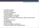 Stroke,뇌졸중 레포트_뇌졸중의 분류및 증상 5페이지