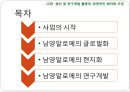 글로벌 기업의 경영관리,글로벌기업의 조직구조와 인적자원관리 ppt자료 19페이지