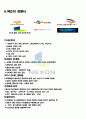 넥슨(nexon) (게임, 넥슨의 기업목표 및 전략, 경쟁사, SWOT분석, STP분석, 4P전략, 해외진출 사례 및 현황, 성공요인 및 향후시도) 8페이지