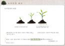 녹색경영의 정의,탄소배출권,해외국가들의 녹색경영,녹색경영 사례(삼성,유한킴벌리,대한민국)ppt자료 6페이지