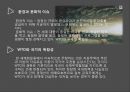 적극적 무역정책, 불완전경쟁과 전략적 무역정책, 브랜더 – 스펜서 분석 & 세계화와 저임금 노동(반세계화운동, 노동기준과 무역협상, WTO) & 세계화와 환경(성장, 공해, 환경문제와 무역협상).pptx
 12페이지