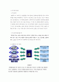 울프자동차, 울프 모터스(Wolf Motors) SWOT 분석, SCM, EDI, CRP, POS, 문제점, 해결방안, 사례의 문제와 해결책 13페이지