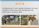 세종대왕의 행동 리더십,백성을 섬김,토론과 경청,솔선수범,혁신적 행동의 리더,리더쉽사례 ppt자료 6페이지