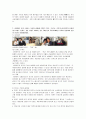 [소비자행동론_소비자 지각 정보처리]비타민워터 마케팅사례,현대자동차와 폭스바겐 마케팅전략,브랜드마케팅,서비스마케팅,글로벌경영,사례분석,swot,stp,4p 10페이지