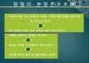 왕필 곽상,도가의 발전,공자의 재해석,왕필의 사상,곽상의 사상 8페이지