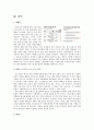 [우리나라의 유통업자 브랜드 현황과 발전 방향]유통업체별 PB,편의점의 자체 브랜드 개발,할인점 PB의 문제점 13페이지