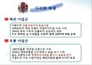 [이랜드다각화전략]이랜드성공경영사례,브랜드마케팅,서비스마케팅,글로벌경영,사례분석,swot,stp,4p 10페이지