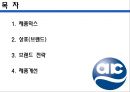 [애경의 제품 전략]애경 브랜드하전략사례,애경 기업분석,브랜드마케팅,서비스마케팅,글로벌경영,사례분석,swot,stp,4p 2페이지