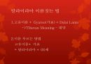 티베트- 역사와 문화,티베트의 중국귀속 배경,중국 vs 티베트 대응 24페이지