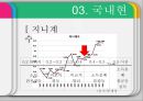 지역사회복지론-양극화문제제기,국내사례,해외사례 5페이지
