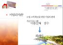 MILEAGE-항공마일리지,마일리지의개념및유래,브랜드마케팅,서비스마케팅,글로벌경영,사례분석,swot,stp,4p 4페이지