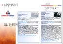 MILEAGE-항공마일리지,마일리지의개념및유래,브랜드마케팅,서비스마케팅,글로벌경영,사례분석,swot,stp,4p 11페이지