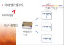 MILEAGE-항공마일리지,마일리지의개념및유래,브랜드마케팅,서비스마케팅,글로벌경영,사례분석,swot,stp,4p 22페이지