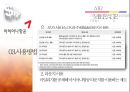MILEAGE-항공마일리지,마일리지의개념및유래,브랜드마케팅,서비스마케팅,글로벌경영,사례분석,swot,stp,4p 25페이지