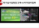 경제민주화-대기업규제,경제민주화의해외사례분석 20페이지