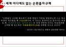 경제민주화-대기업규제,경제민주화의해외사례분석 23페이지
