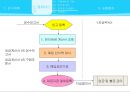 감사의 계획- 감사의 진행과정,매입 및 매입채무 소개 44페이지