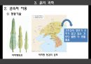과학이란 무엇인가(물,흙,하늘의과학),과학의 궁극적인 목적,인류의 진화과정(상동인, 크로마뇽인, 네안데르탈인)ppt자료 30페이지