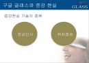 구글 글래스-구조및기능,구글 글래스의 장단점,브랜드마케팅,서비스마케팅,글로벌경영,사례분석,swot,stp,4p 22페이지