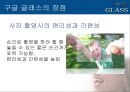 구글 글래스-구조및기능,구글 글래스의 장단점,브랜드마케팅,서비스마케팅,글로벌경영,사례분석,swot,stp,4p 43페이지
