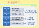 광고와 마케팅-싱글족 마케팅,독신남독신녀,싱글족 특성,브랜드마케팅,서비스마케팅,글로벌경영,사례분석,swot,stp,4p 11페이지