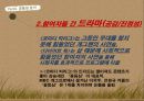 국내 리얼리티 프로그램 포맷 분석,tvn의 코미디 빅리그,예능프로그램 ppt자료 28페이지