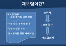 국내 재보험 시장-재보험 시장의 변화,세계 재보험 시장,해외 재보험 업계의 동향,재보험사의 활성화  방안 3페이지