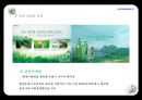 국제마케팅-국내 음료수 시장 현황 및 역사,롯데 칠성의 전략,코카콜라의 전략,브랜드마케팅,서비스마케팅,글로벌경영,사례분석,swot,stp,4p 17페이지