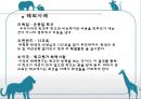 [대한민국사교육문제]입시제도,입시전쟁,대학수학능력시험,한국 교육열,사교육열풍 레포트 28페이지