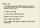 [나폴레옹 전쟁]나폴레옹 전쟁의 발발원인,나폴레옹 전쟁의 진행과정,나폴레옹 전쟁의 패전요인 및 영향 43페이지