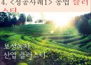 [농학의 경영, 경제적 특질]한국농업의 구조,농산물의 수요와 공급,국내 및 국외 농업경영 성공 사례 15페이지