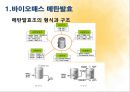 바이오매스 에너지 (환경, 신재생에너지, 바이오매스 메탄발효, 바이오매스 이용실태, 바이오매스 발전, 바이오매스 열이용, 바이오매스 플랜테이션).pptx 8페이지
