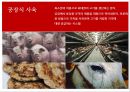 맥도날드사의 GMO 사용 13페이지