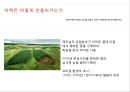 맥도날드사의 GMO 사용 16페이지
