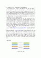 야후코리아-기업분석,야후코리아 경영전략분석,야후코리아 마케팅 실패사례,검색엔진,브랜드마케팅,서비스마케팅,글로벌경영,사례분석,swot,stp,4p 8페이지
