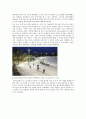 스포츠산업-스포츠마케팅,국내시장조사,브랜드마케팅,서비스마케팅,글로벌경영,사례분석,swot,stp,4p 5페이지