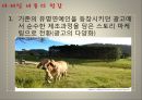 아웃백- 시장상황 분석,아웃백 4P 3C분석,거시경제분석,산업구조분석,마케팅 전략 분석마케팅,목표설정,설문조사,마케팅전략구상 19페이지