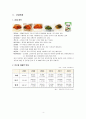 [종가집김치업분석]마케팅전략사례,일본시장진출,해외진출사례,브랜드마케팅,서비스마케팅,글로벌경영,사례분석,swot,stp,4p 4페이지