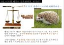제국의 미래-제국의 형성과정,로마제국의 쇠망,미국쇠퇴의 원인 50페이지
