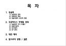 싱글 마케팅전략-싱글시장의 규모와 전망,싱글족의 주거 트랜드,브랜드마케팅,서비스마케팅,글로벌경영,사례분석,swot,stp,4p 2페이지