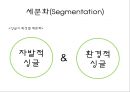 싱글 마케팅전략-싱글시장의 규모와 전망,싱글족의 주거 트랜드,브랜드마케팅,서비스마케팅,글로벌경영,사례분석,swot,stp,4p 8페이지